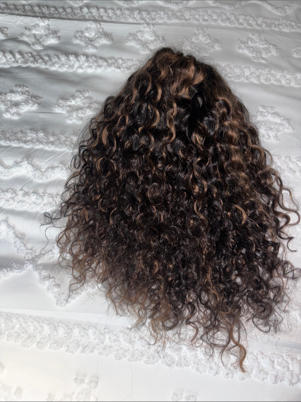 Curly Closure Wig with Subtle Caramel Highlights